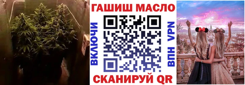 Купить закладки  Елизаветинская  Дистиллят ТГК вейп 